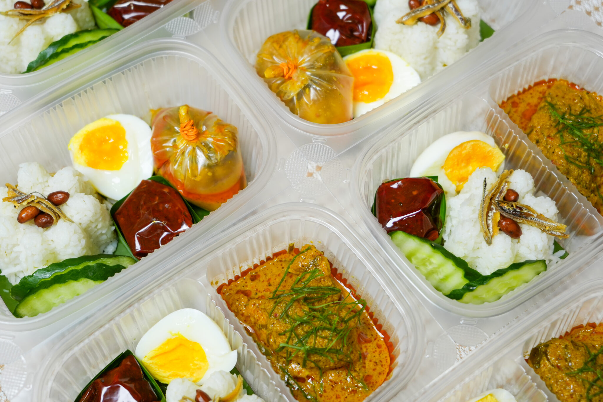 RT-750-2C 750ml 2-compartment takeaway lunch box container